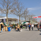 DSC_0052_jpg-1333265664.jpg