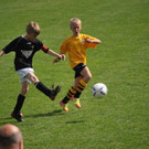 DSC_0313.jpg