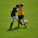 DSC_0367.jpg