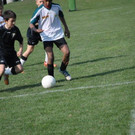DSC_0106.jpg