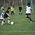 DSC_0121.jpg