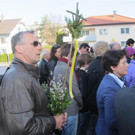 IMG_4312 _Large__jpg-1333284112