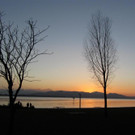 IMG_3404 _Large__jpg-1333285509