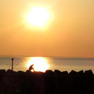 Mann in Sonne _Large__jpg-1333285517