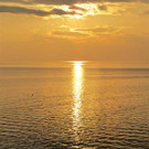 Goldlicht _Large__jpg-1333285507