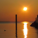 Lochau Mauer mit Sonne _Large__jpg-1333285516