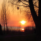 Sonne zwischen B__umen _Large__jpg-1333285550