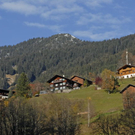 _DSC00380008_1.JPG