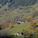 _DSC00550013_1.JPG