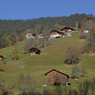 _DSC00620014_1.JPG