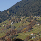 _DSC00670015_1.JPG
