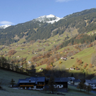 _DSC01110003_1.JPG