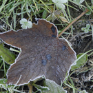 _DSC01230004.JPG