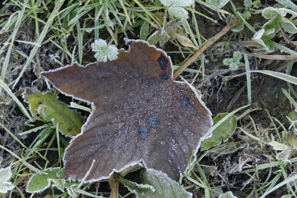 _DSC01230004.JPG