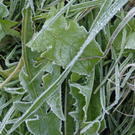 _DSC01610001_1.JPG