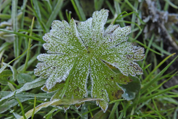 _DSC01720002_1.JPG