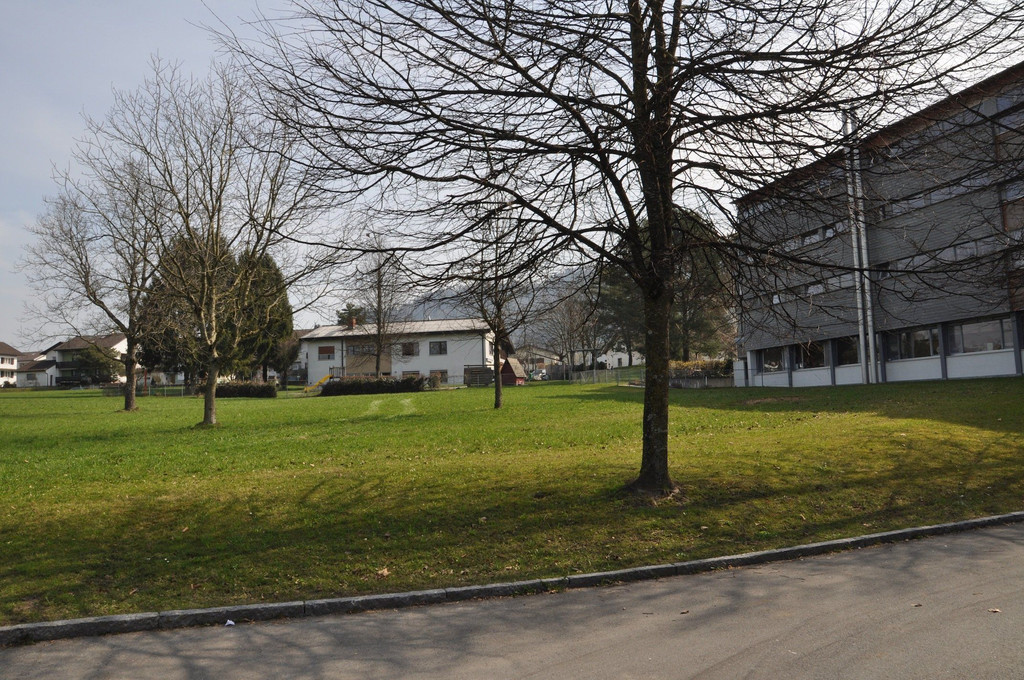 DSC_0543.JPG