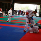 IMGP0694.JPG