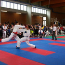 IMGP0710.JPG