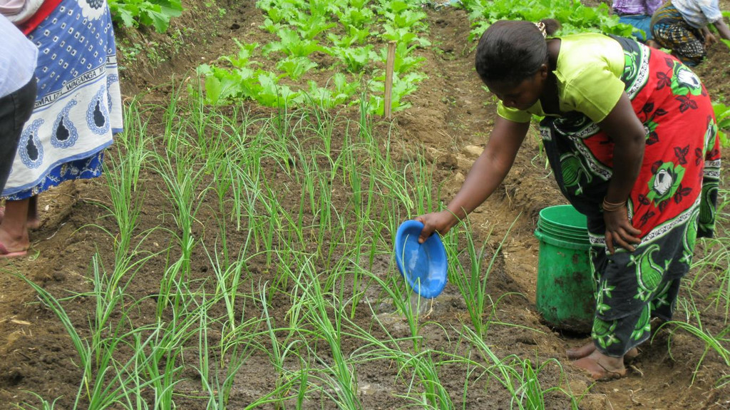 02_K1024_2011-2 Tanzania 075.JPG