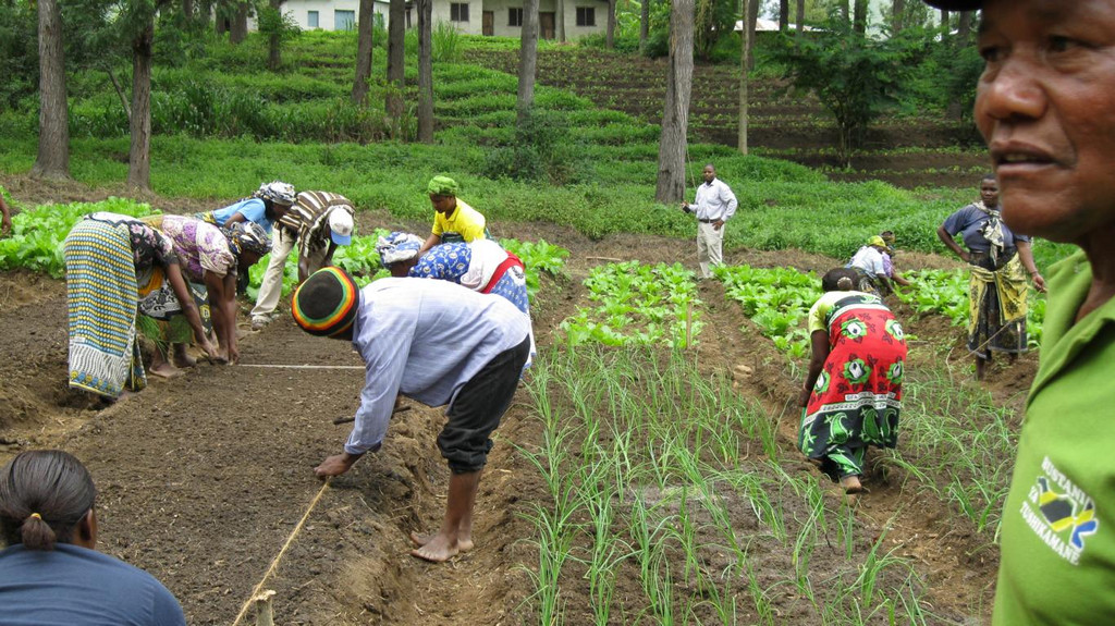 04_K1024_2011-2 Tanzania 074.JPG