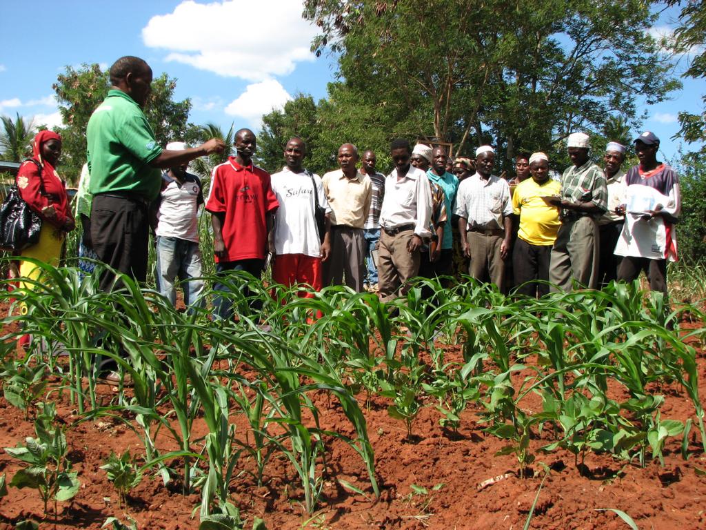 06_K1024_2011-12 ByT 022.JPG