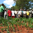 06_K1024_2011-12 ByT 022.JPG