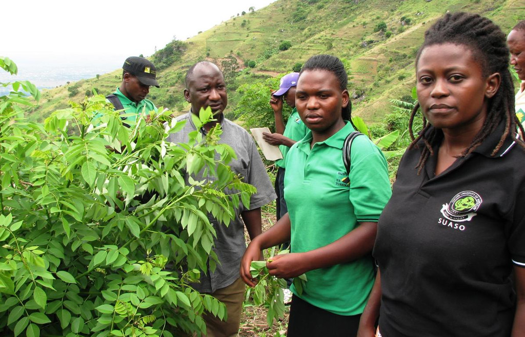 09_K1024_2011-12 ByT 103.JPG