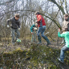 Ufer3_jpg-1333317071