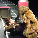 114_1676_JPG-1333326016