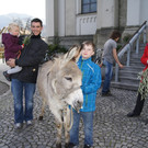 DSC00090.JPG