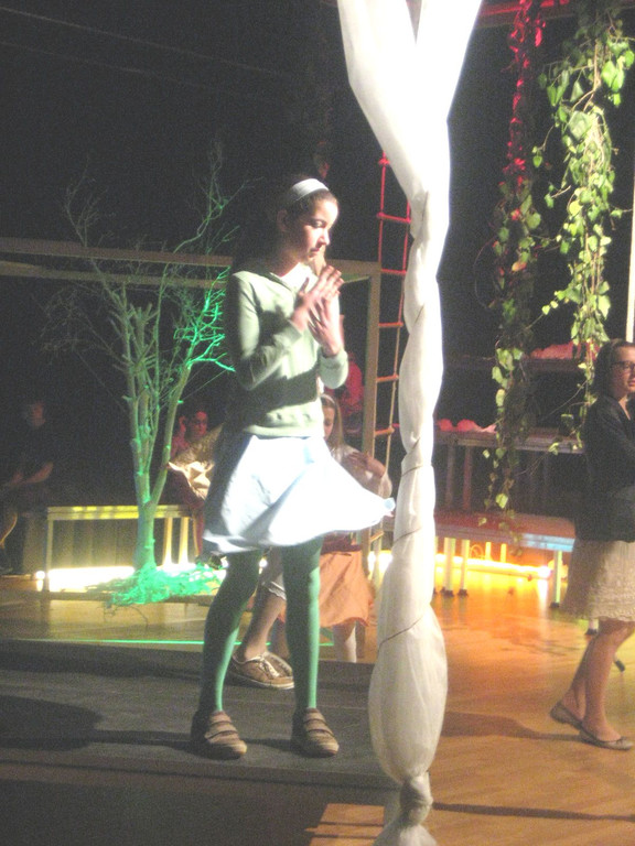 IMG_4522_JPG-1333363580