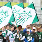 Dragons vs. Vikings 01.04.2012