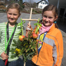 IMG_4617_JPG-1333366511