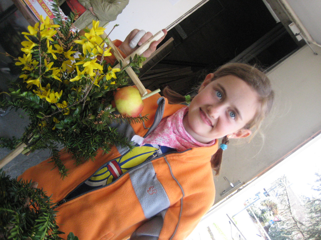 IMG_4626_JPG-1333366520