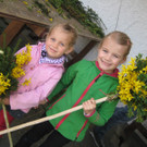 IMG_4627_JPG-1333366522