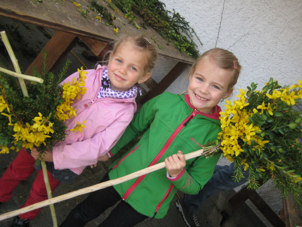 IMG_4627_JPG-1333366522
