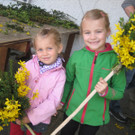 IMG_4629_JPG-1333366527