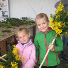 IMG_4630_JPG-1333366529