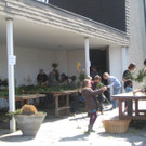 IMG_4642_JPG-1333366546