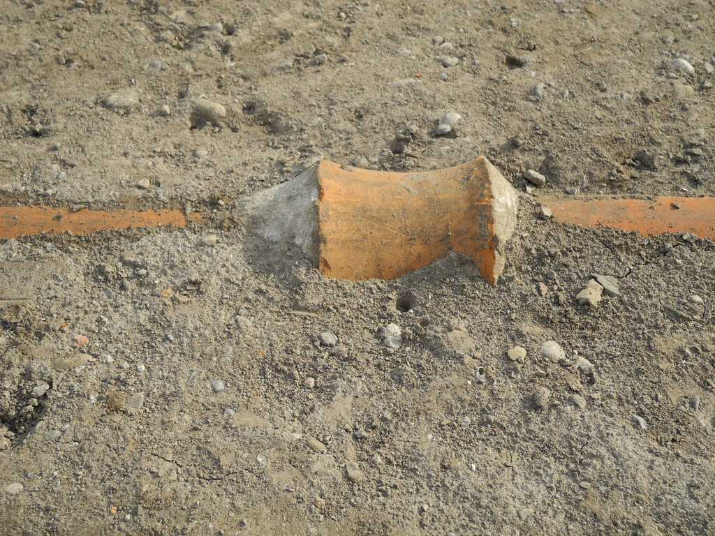 DSCN1890_JPG-1333367992