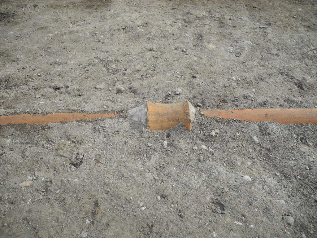 DSCN1891_JPG-1333368023