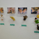 DSCN1950_JPG-1333372854