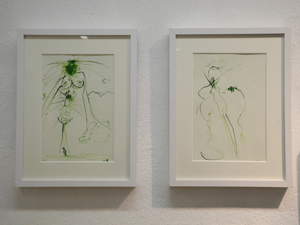 DSCN1998_JPG-1333373527