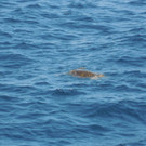 DSCN3243.JPG
