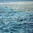 DSCN3249.JPG