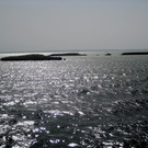 IMG_3786.JPG