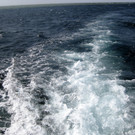 IMG_3788.JPG