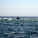IMG_3799.JPG