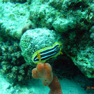 M0013677.JPG